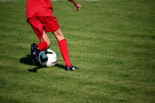 kaiyun登录入口-NBA球队青训体系建设与人才储备，nba青年队