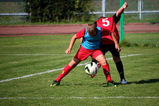 开云电竞登录入口-中国篮球职业联赛俱乐部运营模式创新及管理经验分享，篮球俱乐部运营与管理